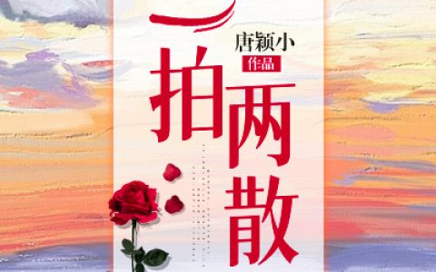 《一拍两散》小说更新最快，陈念徐晏清全文在线阅读